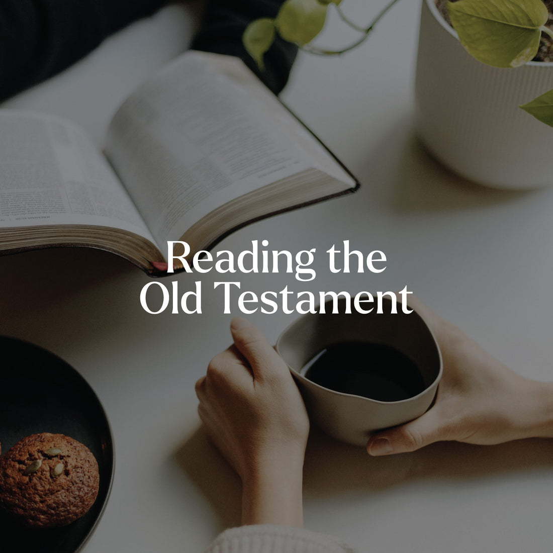 Reading the Old Testament A Thousand Elsewhere