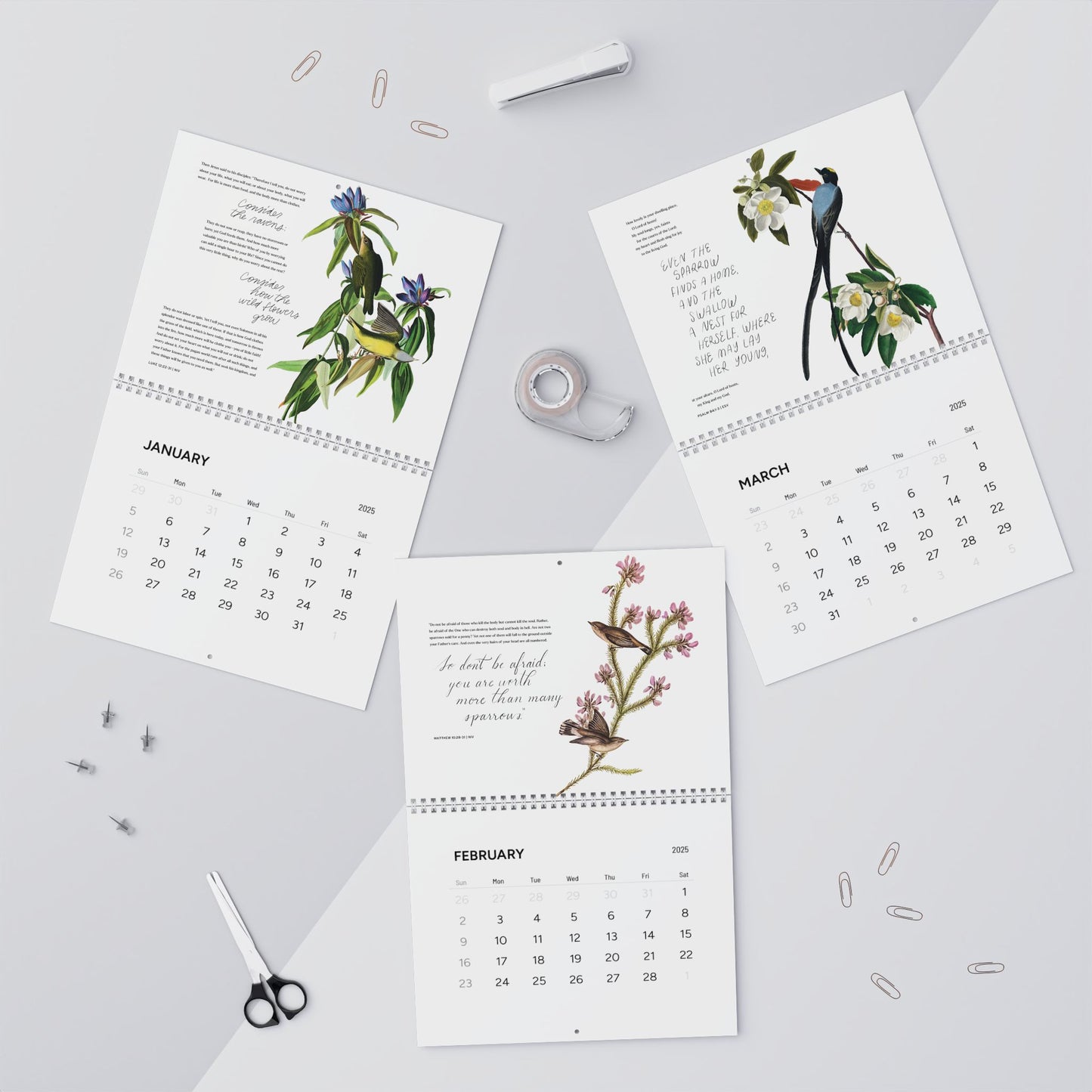 Consider the Birds & Flowers - 2025 Wall Calendar