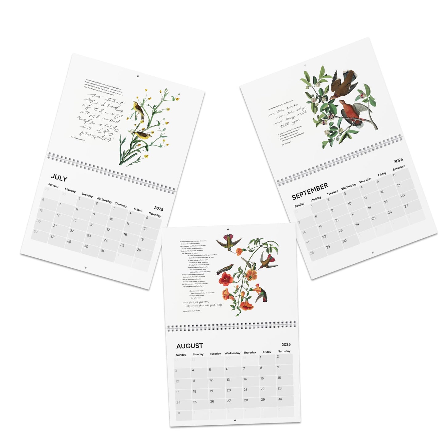 Consider the Birds & Flowers - 2025 Wall Calendar