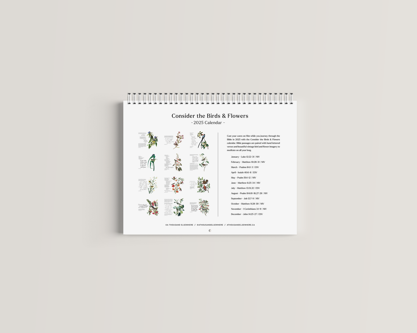 Consider the Birds & Flowers - 2025 Wall Calendar